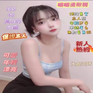 喵喵盪鞦韆